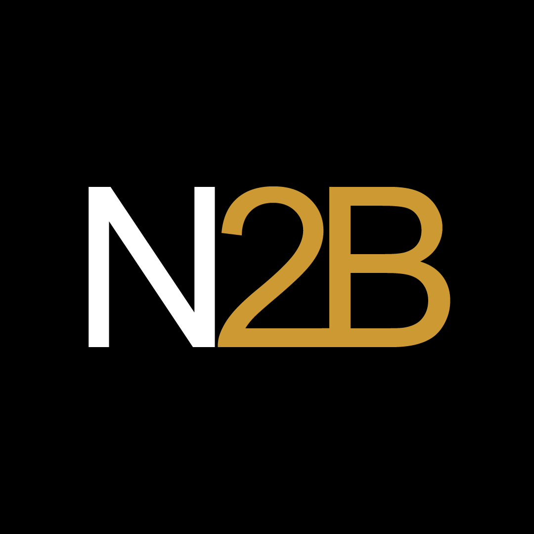 Portal do Cliente – N2B